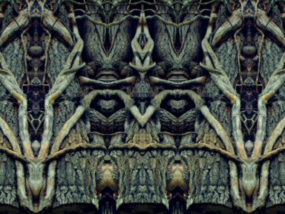 Image #2 of 9: 